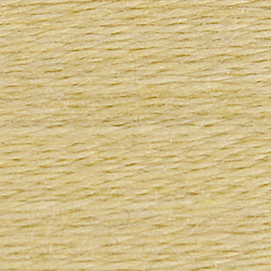 Eco Vita Organic Wool Thread - 201 Needlework DMC