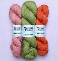 Three skeins of vintage picnic yarn: cupcake, touch grass, carrot cake
