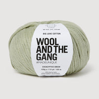 Wool & the Gang Big Love Cotton Yarn Wool and the Gang Eucalyptus Green BL