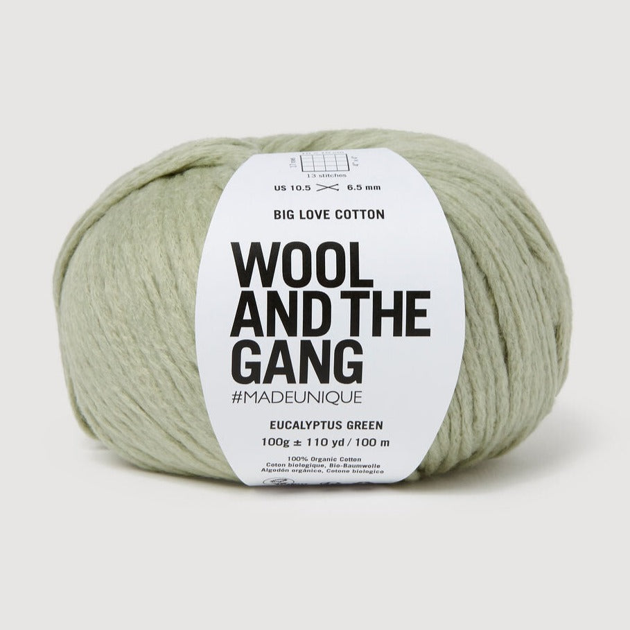 Wool & the Gang Big Love Cotton Yarn Wool and the Gang Eucalyptus Green BL