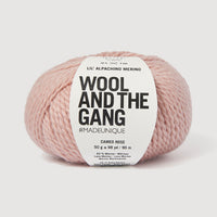 Pink yarn ball with 'Wool and the Gang' label on a light gray background
