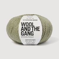 Ball of yarn with 'Wool and the Gang' label on a white background