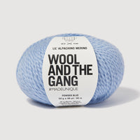 Blue yarn ball with 'Wool and the Gang' label on a white background