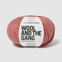 Ball of yarn with 'Wool and the Gang' label on a light gray background