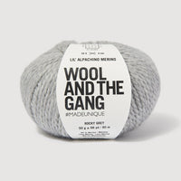 Gray yarn ball with 'Wool and the Gang' label on a white background