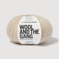 Ball of yarn with 'Wool and the Gang' label on a white background