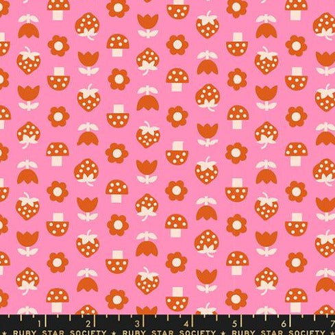 Picture Book Strawbitties in Flamingo Picture Book Strawbitties in Flamingo