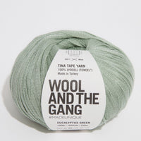 Wool and the Gang Tina Tape Yarn Wool and the Gang Eucalyptus Green