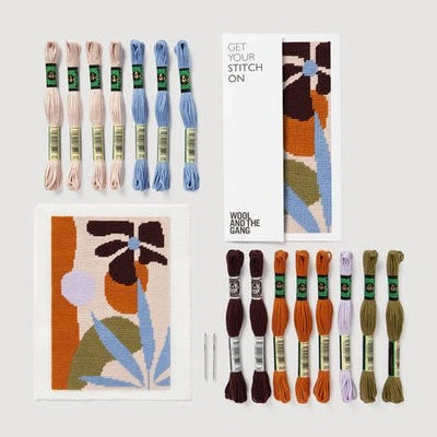 Collection of embroidery threads and pattern books on a white background