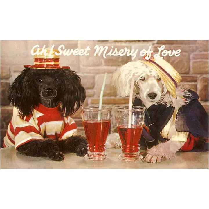 Two dogs in costumes sitting at a table with drinks, text 'Oh! Sweet Misery of Love' above.