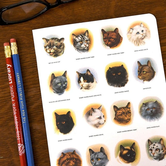 Sheet of 16 cat breeds on cover of a notebook