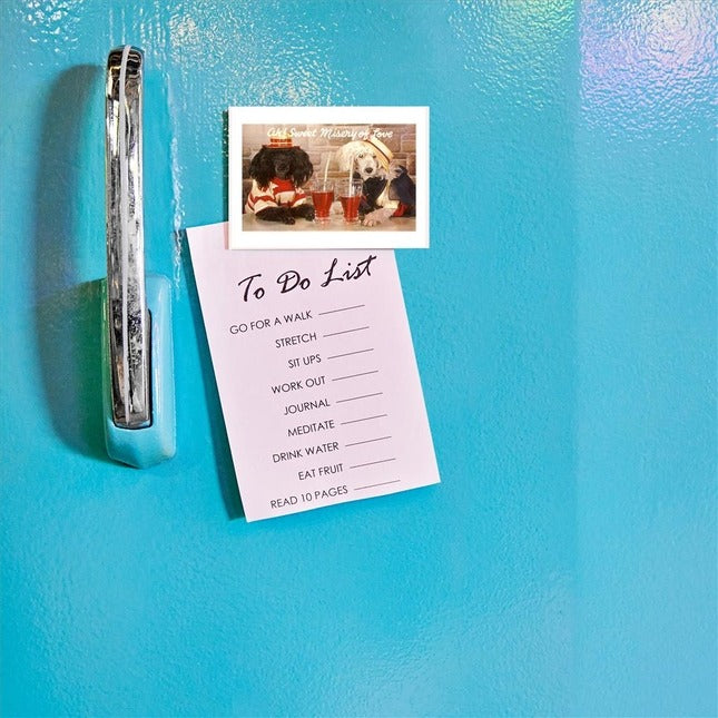 Ah, Sweet Misery of Love, Dogs At Soda Fountain Magnet