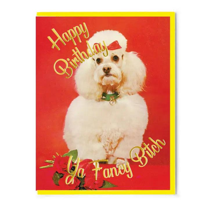 Birthday card with a white poodle and text on a red background