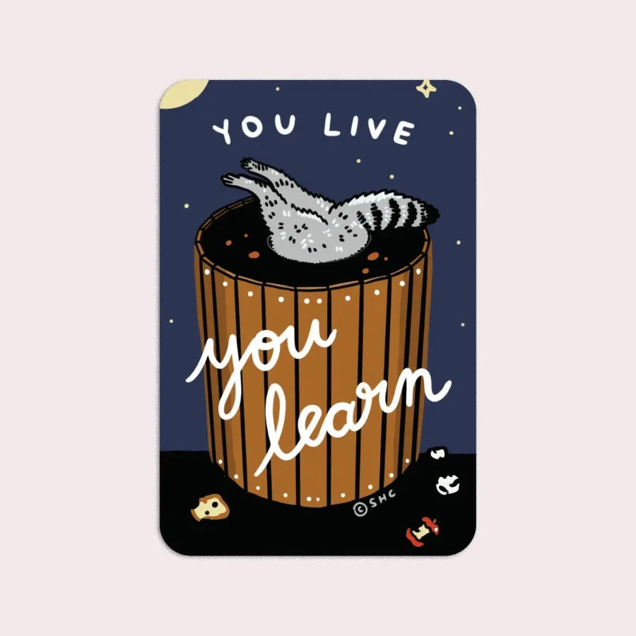 You Live You Learn Vinyl Sticker