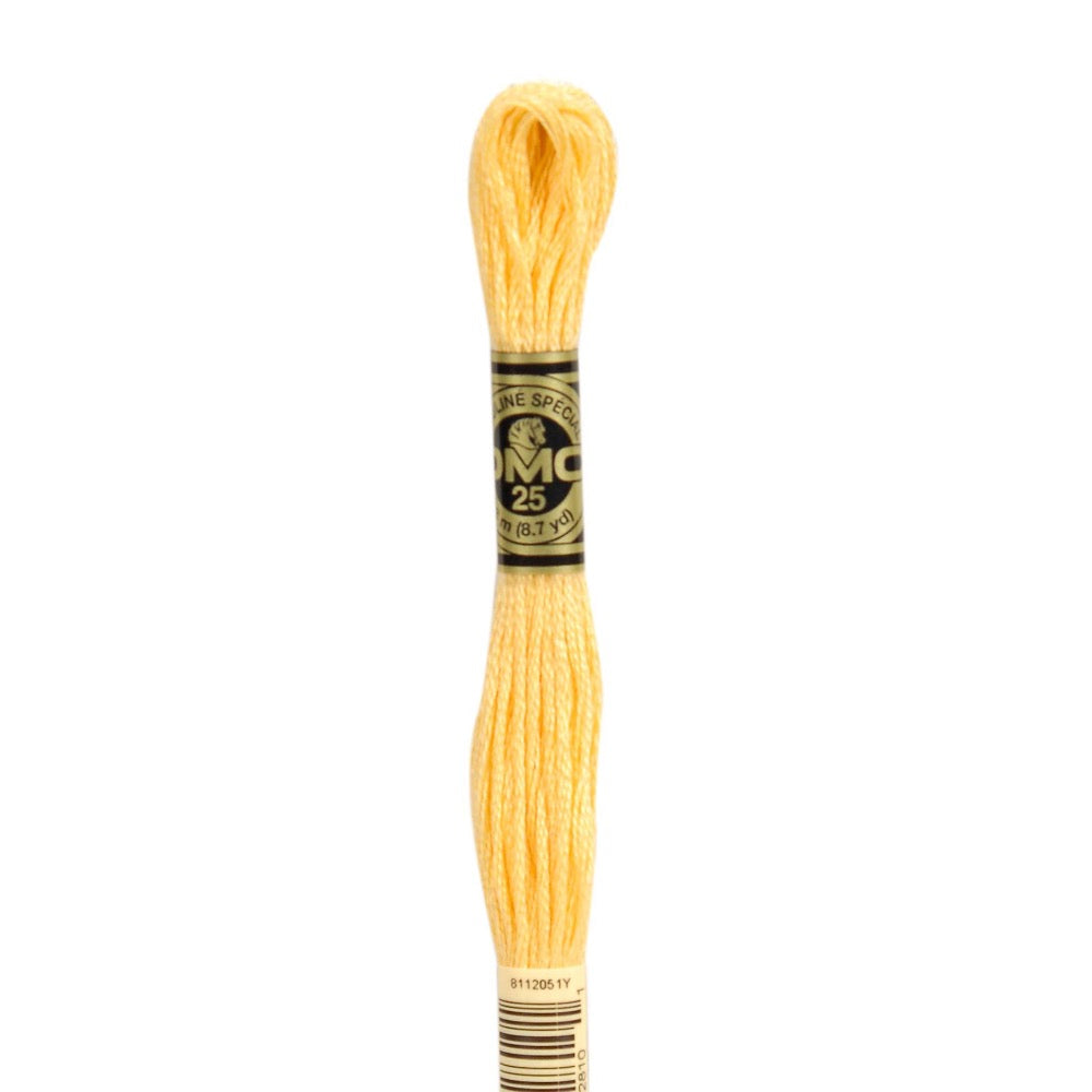 Embroidery Floss - 19