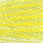 Embroidery Floss - 445