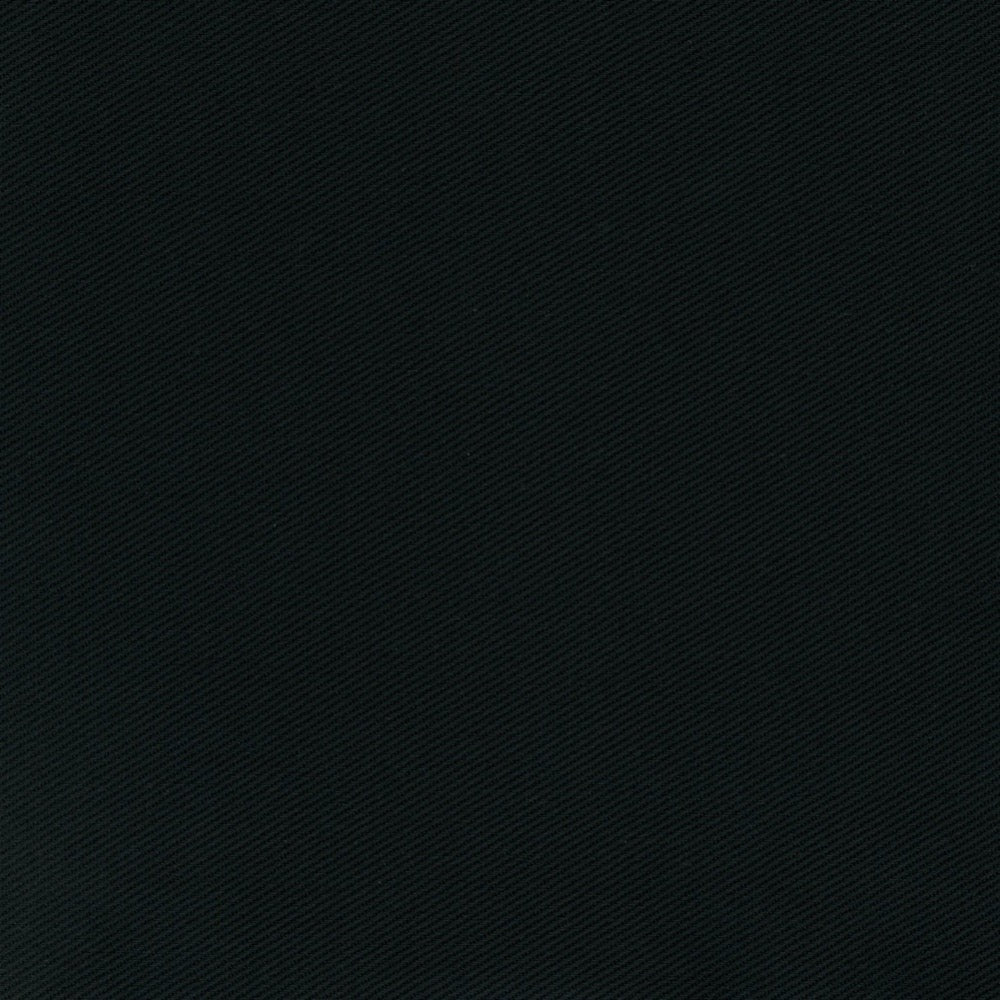 Duck Canvas by James Thompson in Black Fabric James Thompson