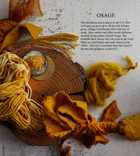 The Modern Natural Dyer Book Abrams