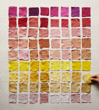 The Modern Natural Dyer Book Abrams