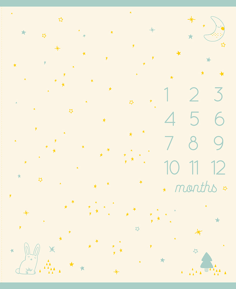 Birthday Panel by Ruby Star Society in Buttercream Fabric Ruby Star Society