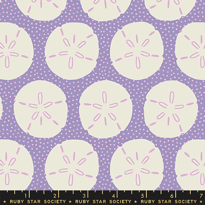 Florida Volume 2 Sand Dollars by Ruby Star Society in Ghost
