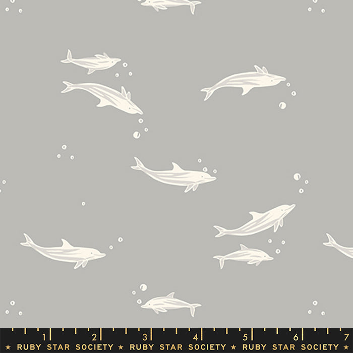 Florida Volume 2 Dolphins by Ruby Star Society in Steel Fabric Ruby Star Society