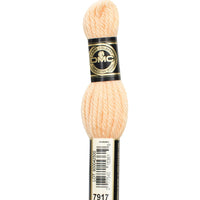 Tapestry Wool - 7917 Needlework DMC