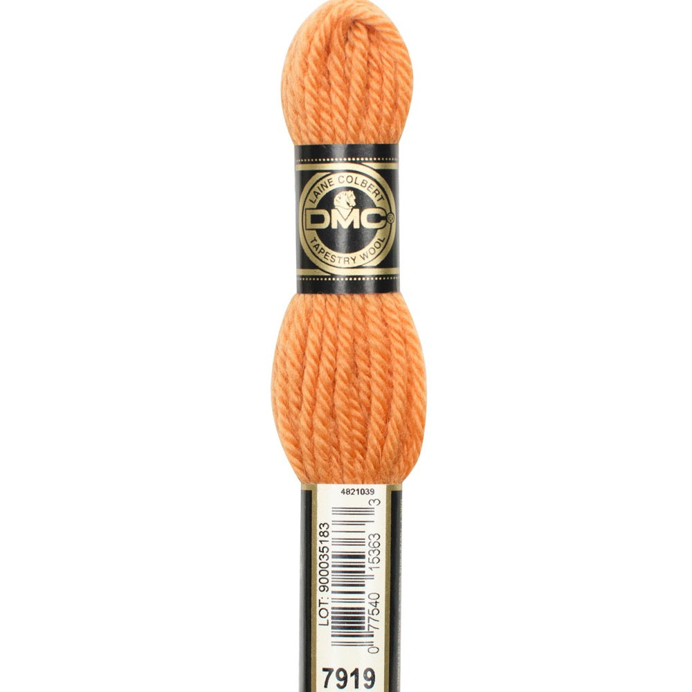 Tapestry Wool - 7919