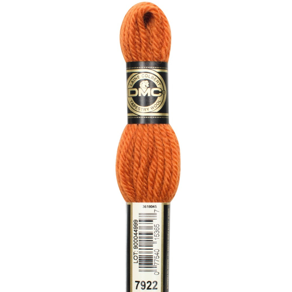 Tapestry Wool - 7922 Needlework DMC