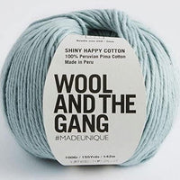 Shiny Happy Cotton Yarn Wool and the Gang Duck Egg Blue Cotton