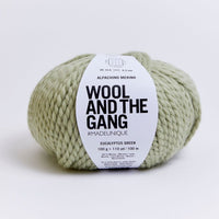 Wool and the Gang Alpachino Merino Yarn Wool and the Gang Eucalyptus Green