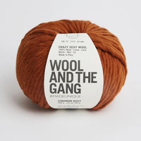 Wool and the Gang Crazy Sexy Wool Yarn Wool and the Gang Cinnamon Dust