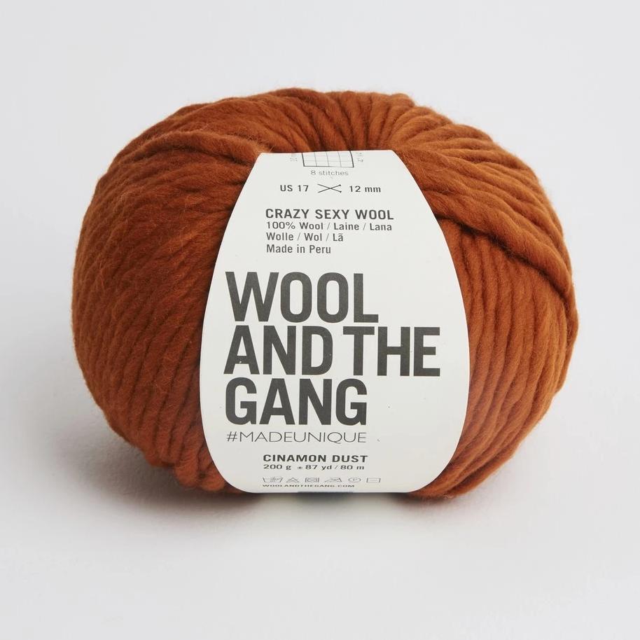 Wool and the Gang Crazy Sexy Wool Yarn Wool and the Gang Cinnamon Dust
