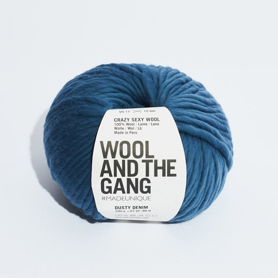 Wool and the Gang Crazy Sexy Wool Yarn Wool and the Gang Dusty Denim