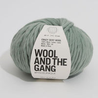 Wool and the Gang Crazy Sexy Wool Yarn Wool and the Gang Eucalyptus Green