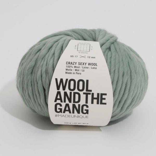 Wool and the Gang Crazy Sexy Wool Yarn Wool and the Gang Eucalyptus Green