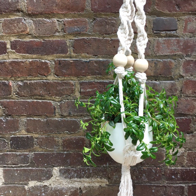 large macrame plant hanger Macramé Plant Hanger – Brooklyn Craft Company