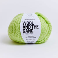 Wool and the Gang Alpachino Merino Yarn Wool and the Gang Lime Sorbet