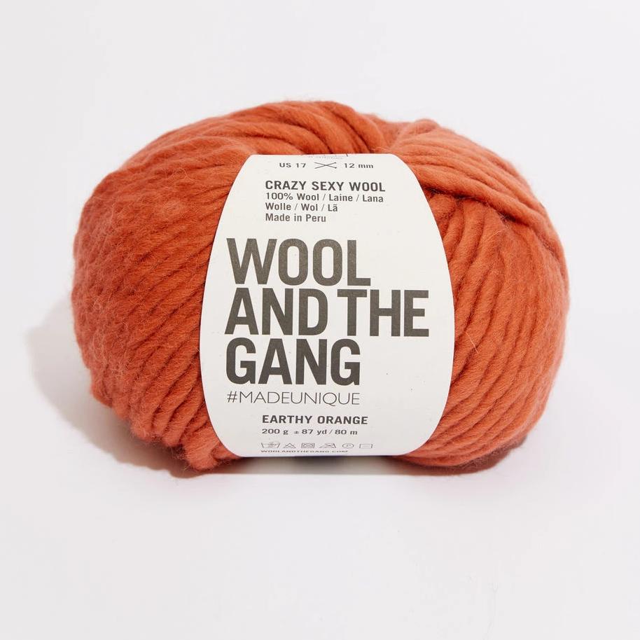 Wool and the Gang Crazy Sexy Wool Yarn Wool and the Gang Earthy Orange