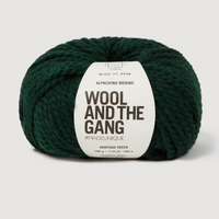 Wool and the Gang Alpachino Merino Yarn Wool and the Gang Heritage Green