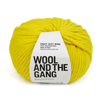 Wool and the Gang Crazy Sexy Wool Yarn Wool and the Gang