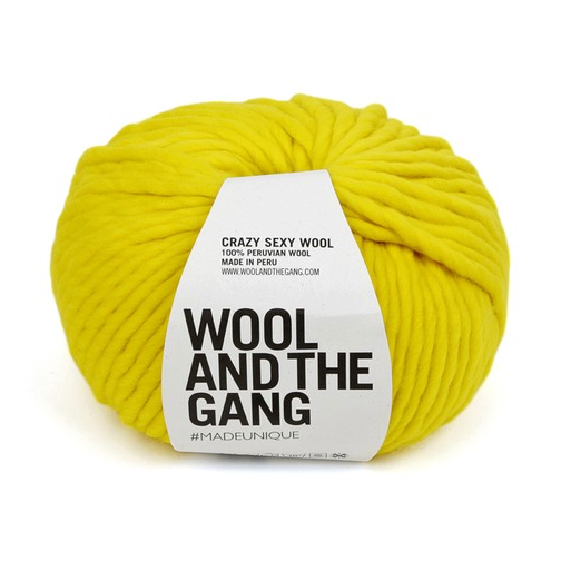 Wool and the Gang Crazy Sexy Wool Yarn Wool and the Gang