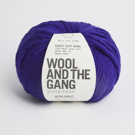 Wool and the Gang Crazy Sexy Wool Yarn Wool and the Gang