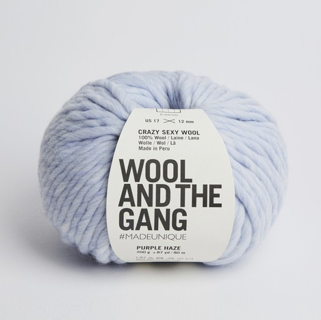 Wool and the Gang Crazy Sexy Wool Yarn Wool and the Gang