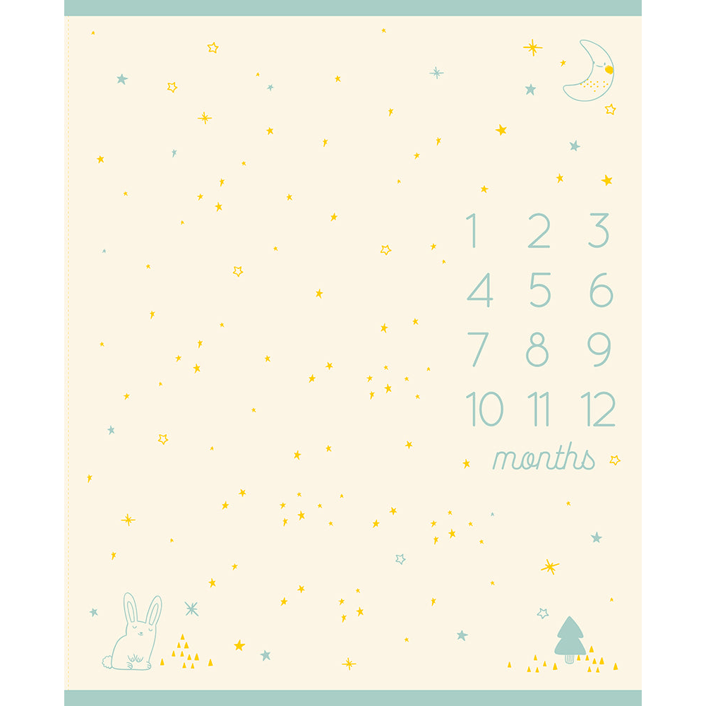 Birthday Panel by Ruby Star Society in Buttercream Fabric Ruby Star Society