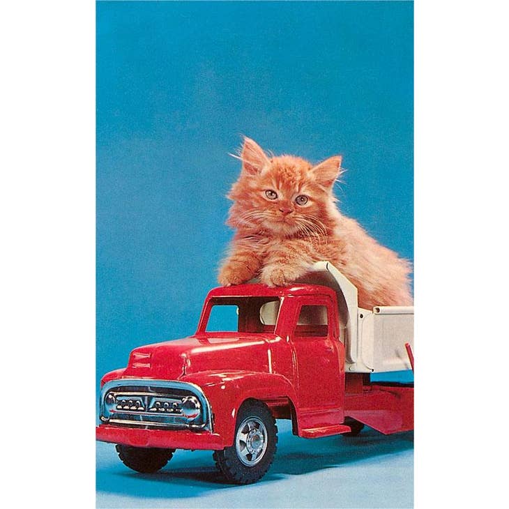 Truckin' Kitten Card Greeting Cards Found Image Press