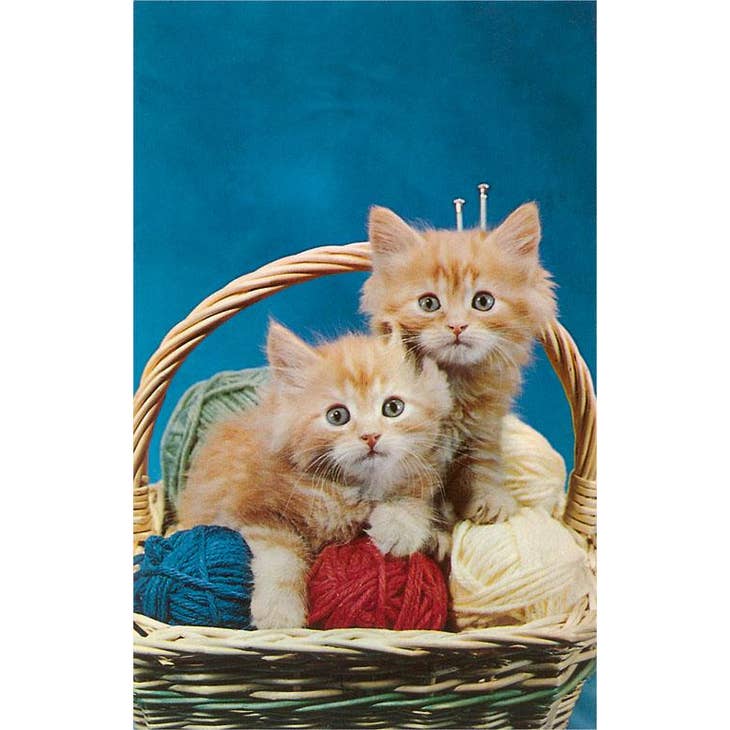 Knitting Kittens Card Greeting Cards Found Image Press