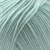 Cascade 220 Superwash Yarn Cascade Mint Superwash