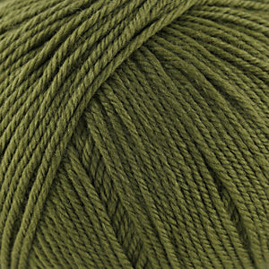 Cascade 220 Superwash Yarn Cascade Avocado