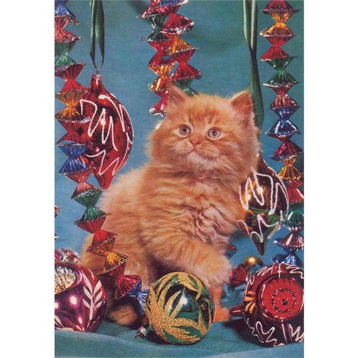 Christmas Kitten Card Greeting Cards Found Image Press